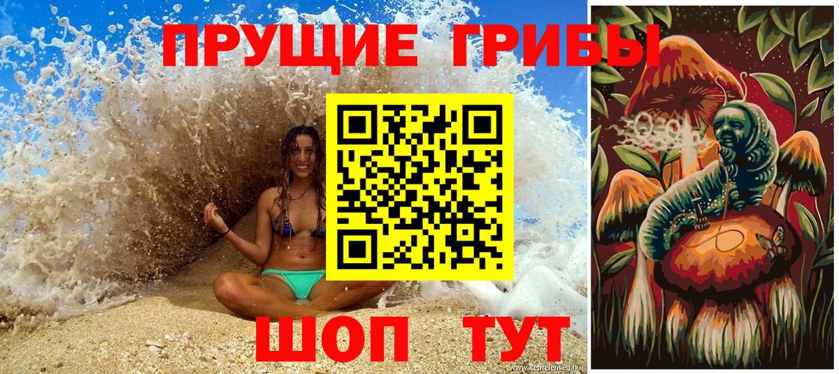 Дмитров  Галлюциногенные грибы прущие грибы  Галлюциногенные грибы мухоморы  Вход с VPN 