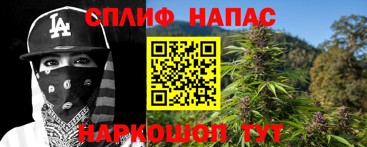 Каннабис White Widow Дмитров